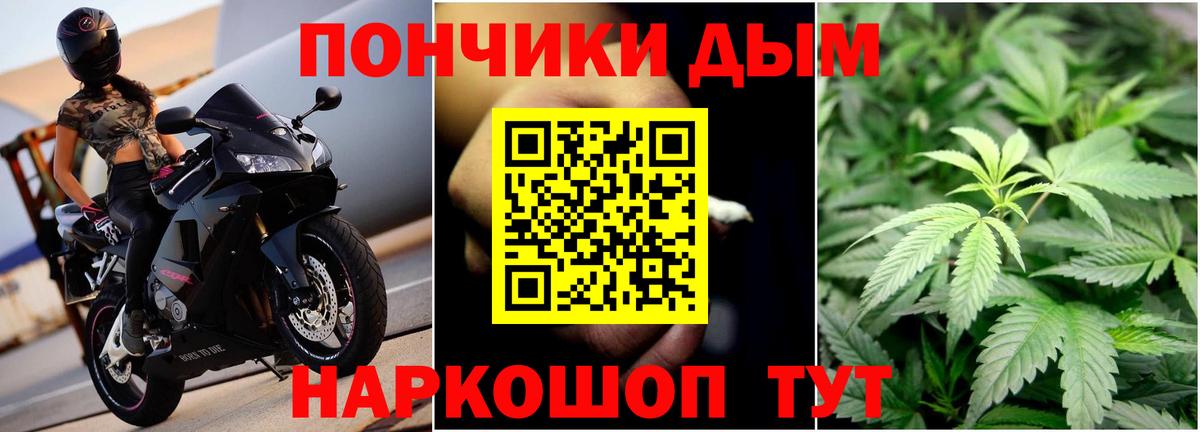 Каннабис план  Бошки марихуана ГИДРОПОН  Звенигород  Вход с VPN  Конопля Bruce Banner  Марихуана VHQ 